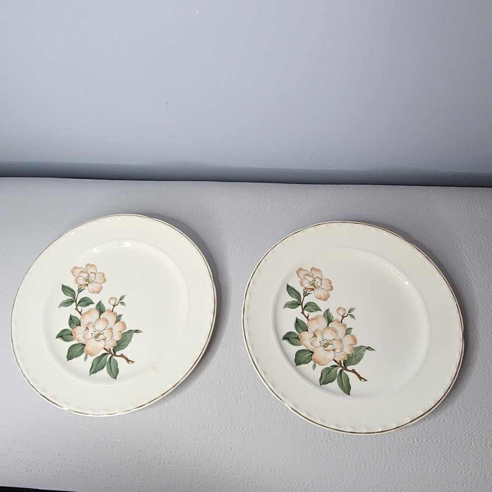 CROOKSVILLE CHINA CO. GLENDALE Plate Salad